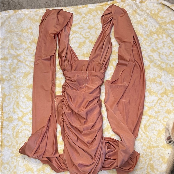 Tiger Mist Rust Mini Dress - Picture 2 of 3